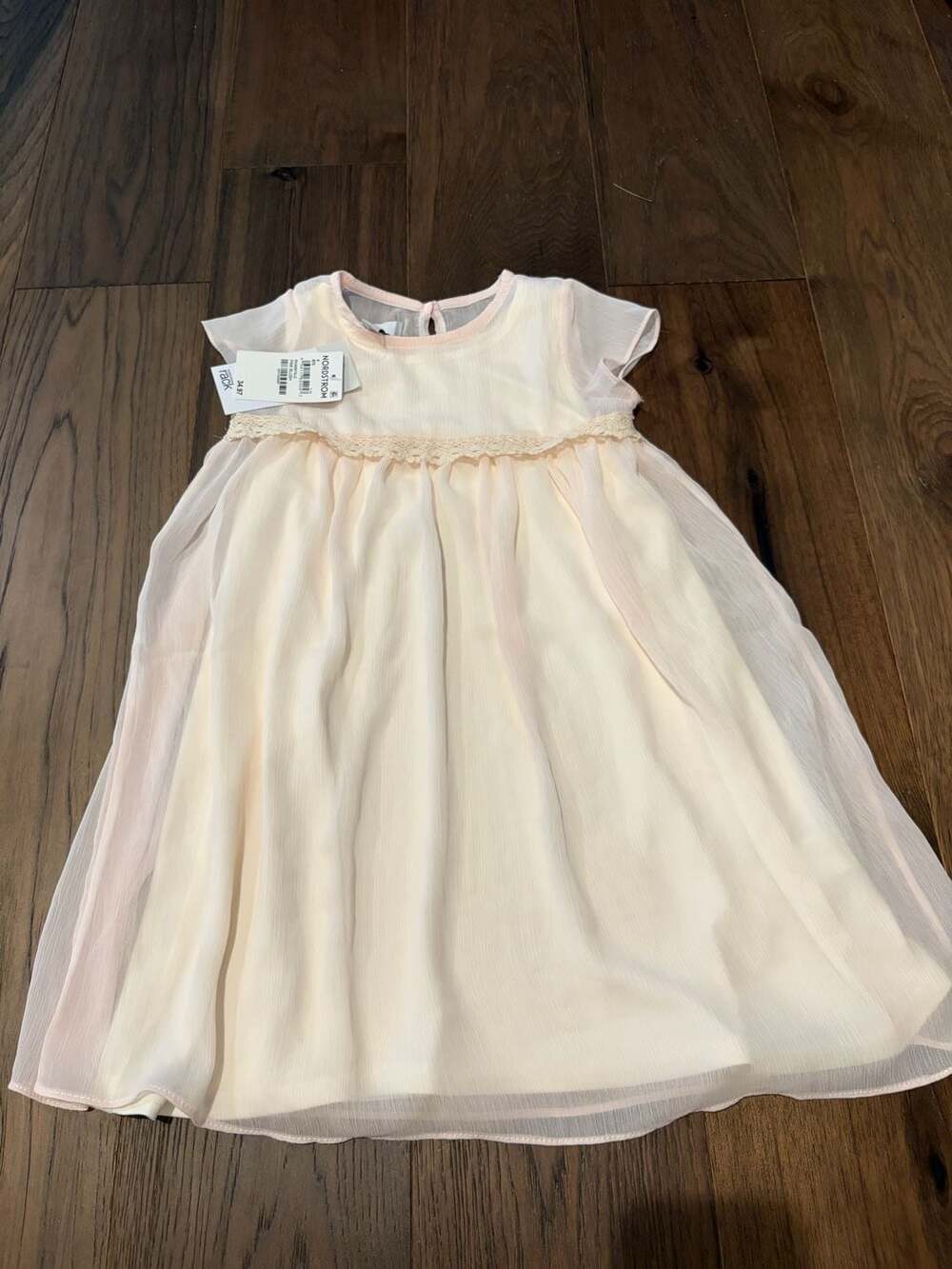Nordstrom Rack Chiffon Lace Overlay Dress Pink Blush Size 4